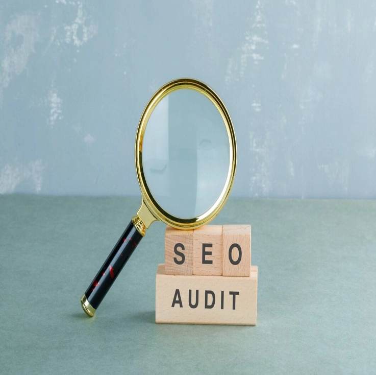 website seo audit services in kanpur